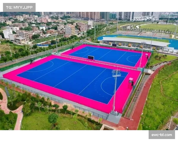 多功能体育场馆改造,满足曲棍球比赛训练需求 多功能体育场馆改造,满足曲棍球比赛训练需求